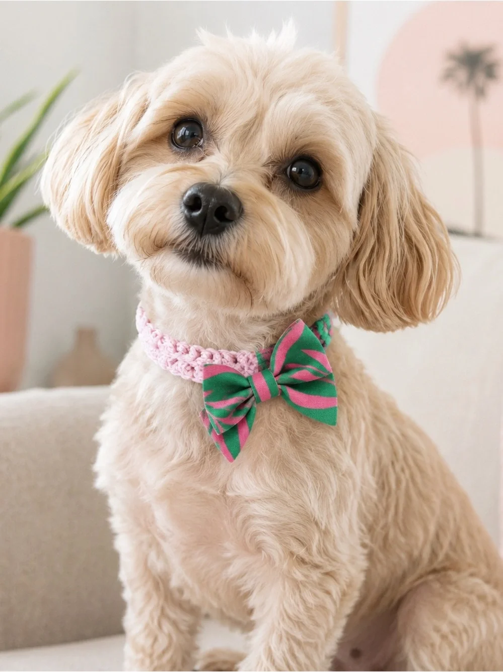 Matching Palm Springs Dog Collar Bundle